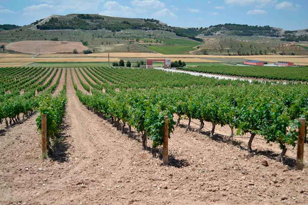 Adjudicadas las obras de A-11 en tramo de bodegas Adjudicadas las obras de A-11 en tramo de bodegas