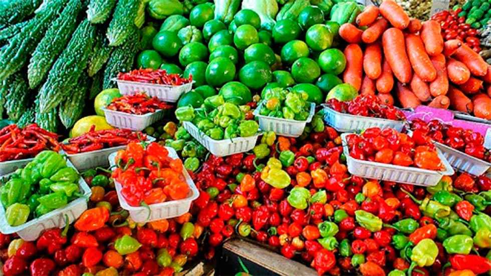 Aumento de las exportaciones del sector agroalimentario Aumento de las exportaciones del sector agroalimentario