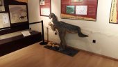 El Aula Paleontológica de Villar del Río abre sus puertas