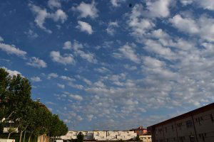Diputación pide precaución porque el virus sigue en la calle Diputación pide precaución porque el virus sigue en la calle