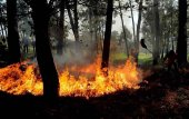 La Junta declara una nueva alerta de riesgo de incendios