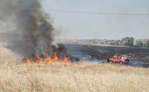 Investigado joven por incendio forestal 