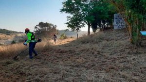 Mil ayuntamientos participan en plan de empleo forestal