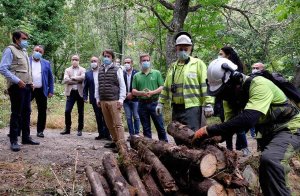 Mañueco destaca "buena marcha" de campaña de incendios