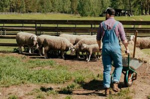 Un estudio para facilitar relevo generacional en agricultura