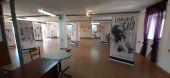 Exposición divulgativa del Camino del Cid Exposición divulgativa del Camino del Cid