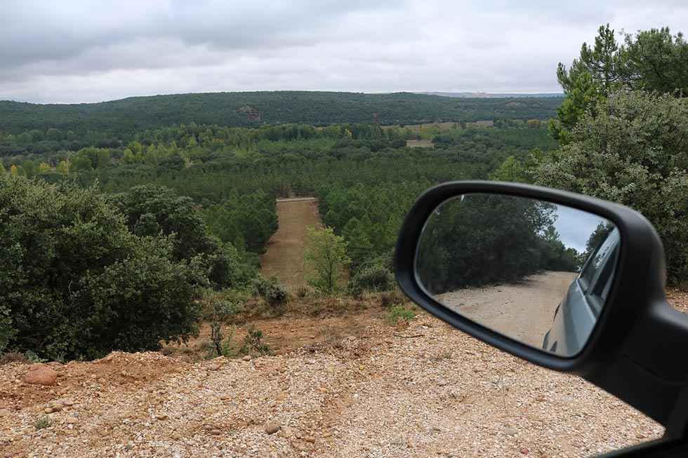 La berrea, un reclamo en los montes de Almazán La berrea, un reclamo en los montes de Almazán
