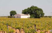 Ólvega regula la construcción de casillas agrícolas Ólvega regula la construcción de casillas agrícolas