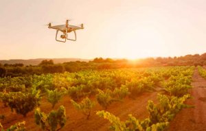 Drones para mejorar la vendimia en Ribera del Duero