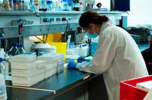 España suma más de 7 millones de pruebas PCR
