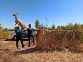 Detenidos por causar daños a 14 coches en Garray