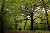 Excursión de Los Pelendones a Etxarri-Aranatz