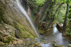 "La Toba púrpura", de Daniel Estepa Sanz