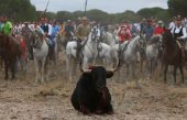 El papel de las redes sociales en prohibición del Toro de la Vega