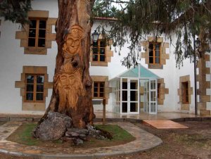 Actividades en otoño en el Aula del Bosque