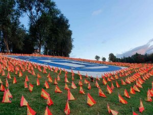 53.000 banderas en homenaje a fallecidos por Covid