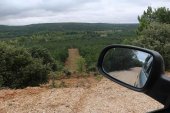 La berrea, un reclamo en los montes de Almazán