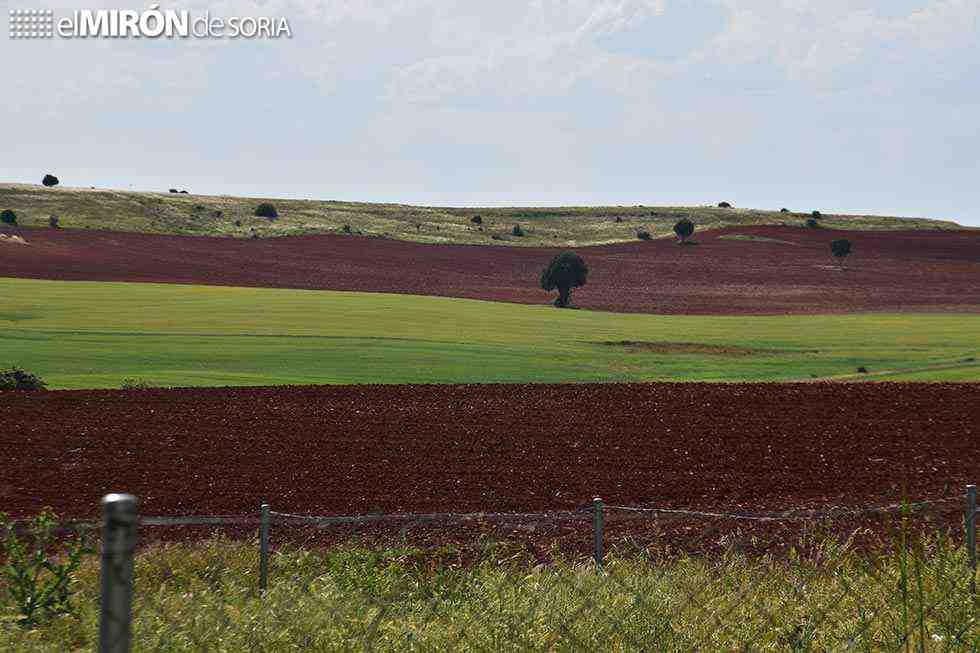 COAG exige 180 millones para el campo regional