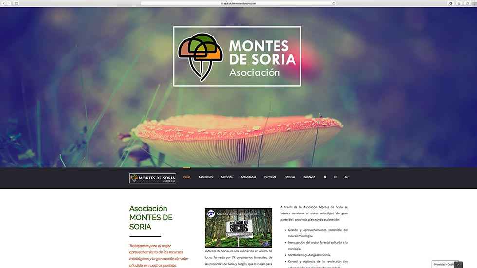 Nueva web de la asociación "Montes de Soria" Nueva web de la asociación "Montes de Soria"