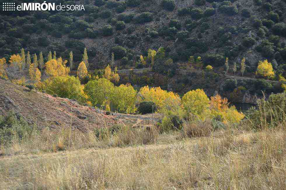 CARTA AL DIRECTOR/ Más de cinco mil firmas en el Cerro de los Moros