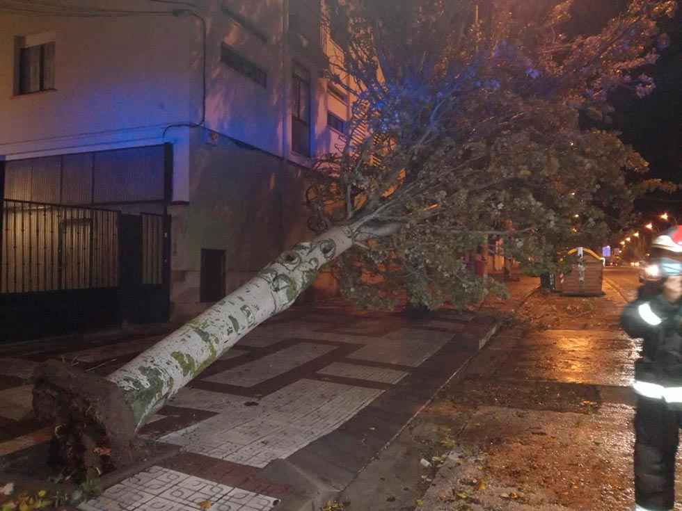 Intervenciones de los Bomberos a causa del viento