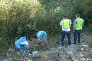 Investigado por sacrificar a dos perros de caza