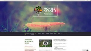 Nueva web de la asociación "Montes de Soria"