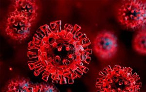 El virus de la Covid-19 puede sobrevivir 28 días a 20 grados