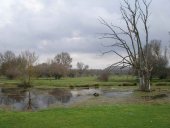 Seminario sobre riesgos naturales y cambio climático