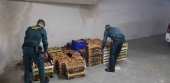 Decomisados 580 kilos de níscalos a 17 personas