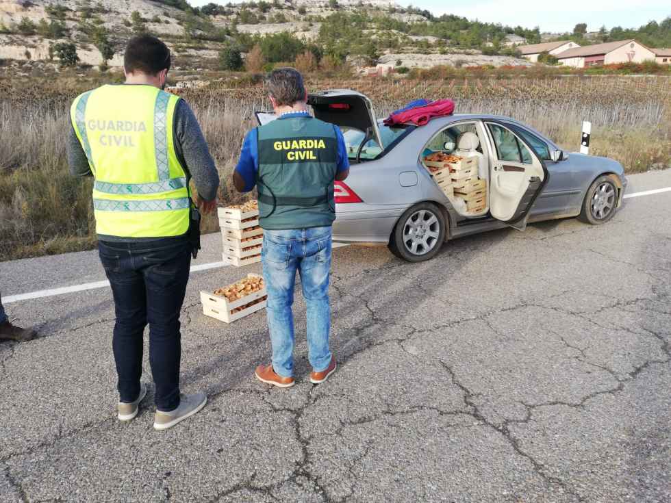 Otros 1.200 kilos de níscalos incautados en la provincia Otros 1.200 kilos de níscalos incautados en la provincia