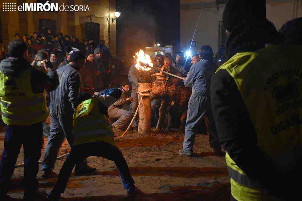 Celtiberia censura parcialidad de auto que prohibe toro jubilo