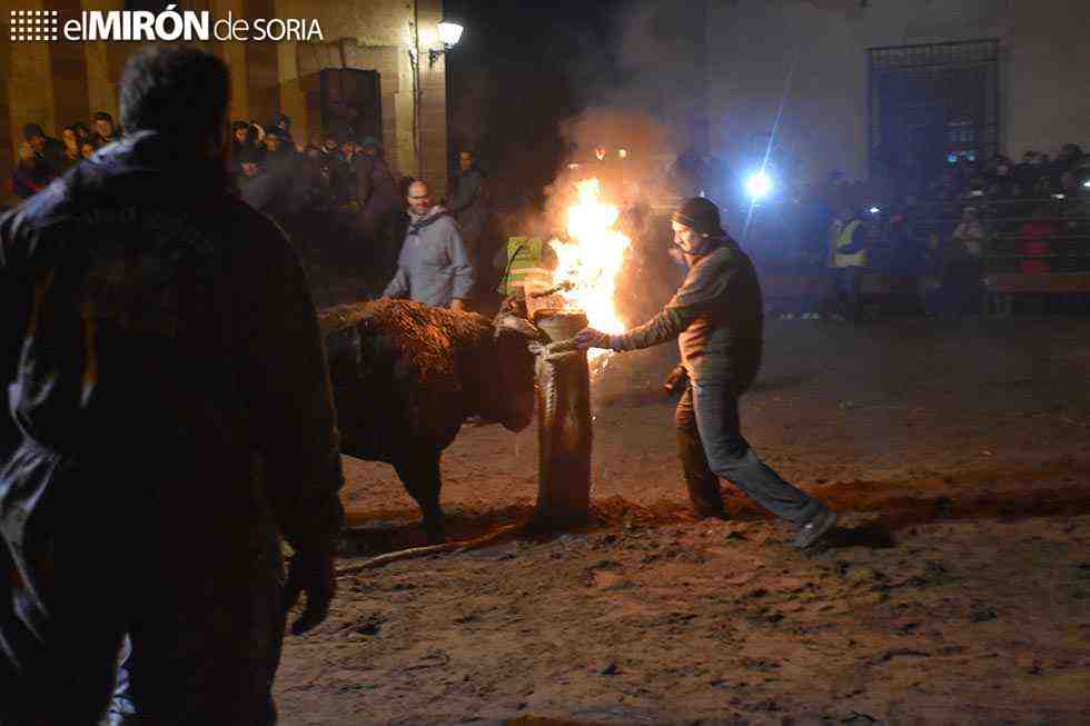 Un auto judicial interrumpe tradición milenaria del toro jubilo