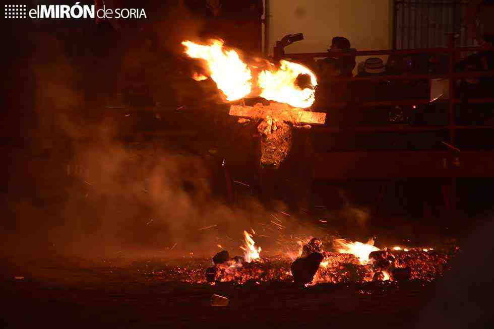 La plataforma Defensa Animal celebra la suspensión del toro jubilo en Medinaceli 