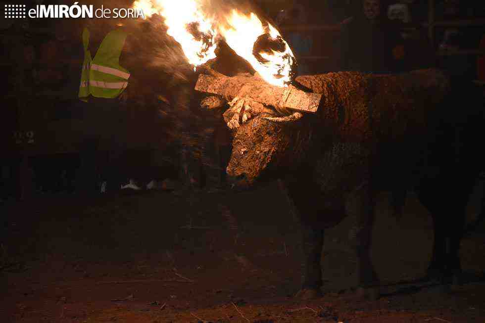 Humanos…, ¡Sí, sí, a veces animales!