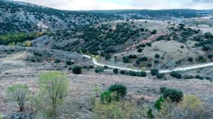 TRIBUNA/ Un test municipal con el Cerro de los Moros