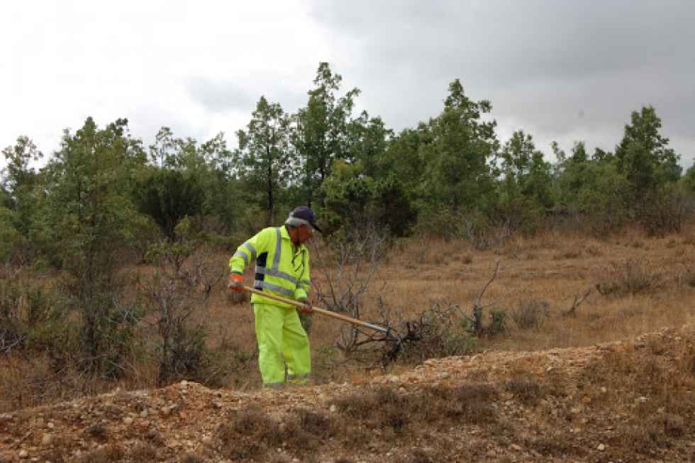 Las brigadas forestales limpian montes de 300 localidades Las brigadas forestales limpian montes de 300 localidades