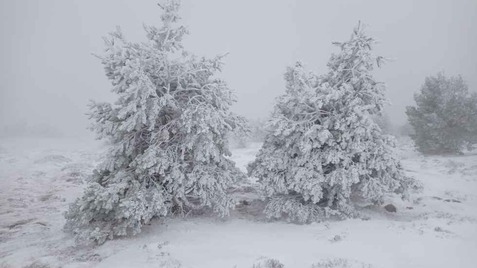 El frío invernal llega para quedarse El frío invernal llega para quedarse