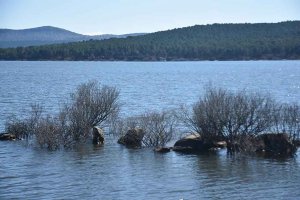 Se incrementa agua embalsada en Cuerda del Pozo