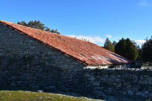 Piden recuperación continuada de ayudas a zonas desfavorecidas Piden recuperación continuada de ayudas a zonas desfavorecidas
