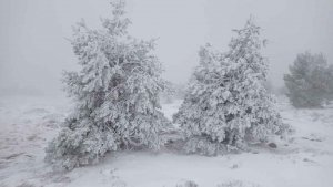 El frío invernal llega para quedarse