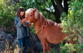 "Mi Amigo Pony", estreno en Cines Lara