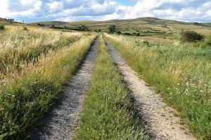 Impacto ambiental favorable para parques eólicos