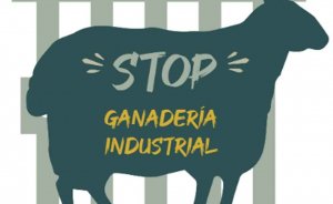 Petición para una moratoria a la ganadería industrial