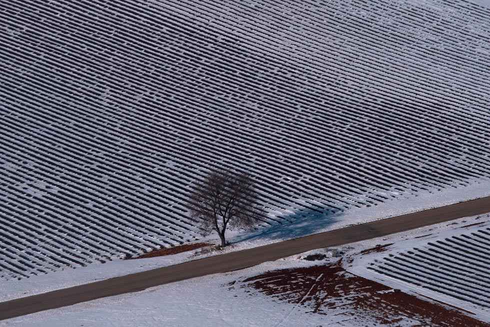 Greenpeace: "Filomena" y dos realidades - fotos