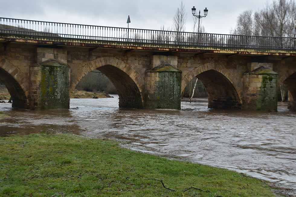 Crecida del río Tera en Garray - fotos