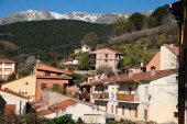 Fallece atropellada por el camión de la basura