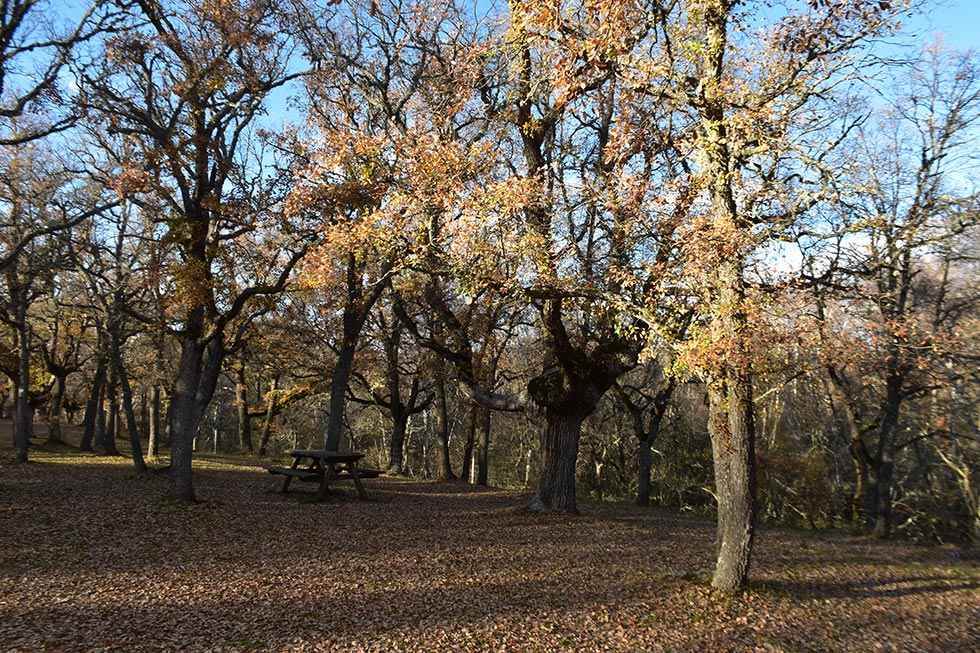 Soria: paseo por la Junta de los Ríos - fotos