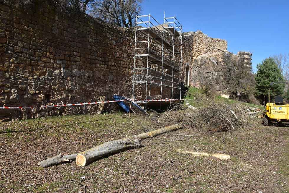 Desbroce junto a muralla del Duero - fotos