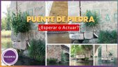 Podemos pide actuar en puente de piedra